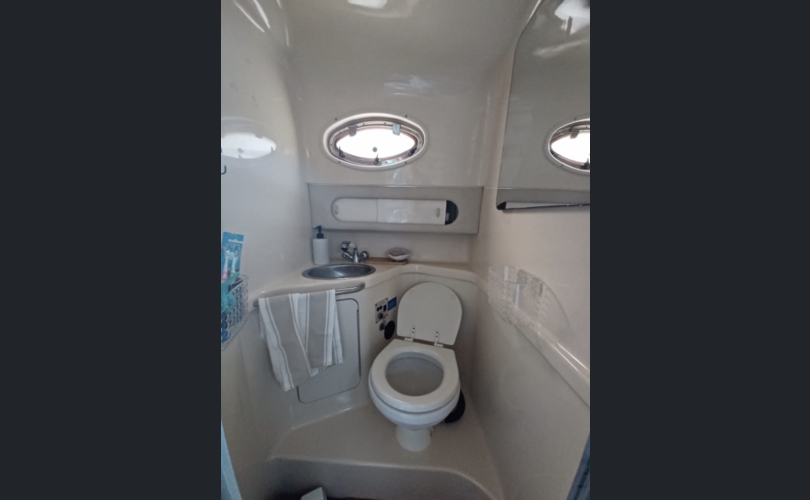 Sea Ray Sundancer 290-kuva-13